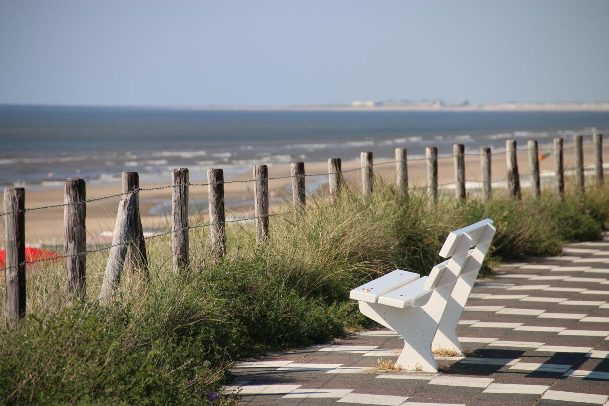 B&B Little Miss Sunshine Zandvoort Esterno foto